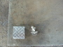 �S�~�X�e�[�V���� �摜 �Q�U�|�O�O�S�P�|�Q